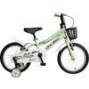 110000455010041.jpg Cesa Bisiklet Cesa Bike Classic Model 16 Jant Bisiklet 4-7 Yaş Pastel YEŞİL Çocuk Bisikleti 160210