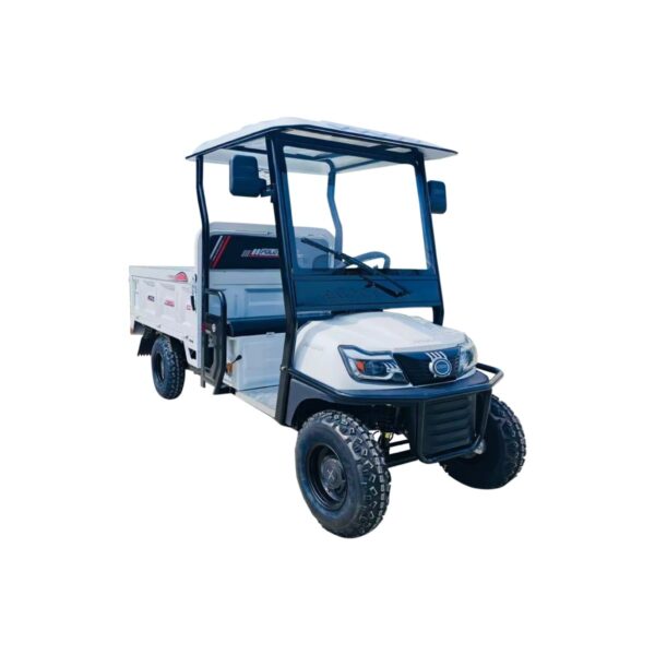 110001836635730.jpg Arora Polo Farm New 2000W Kasalı Elektrikli Motosiklet